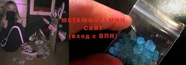 прущие грибы Заводоуковск