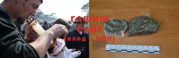 прущие грибы Заводоуковск