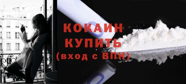 прущие грибы Заводоуковск