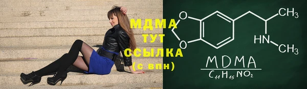 прущие грибы Заводоуковск