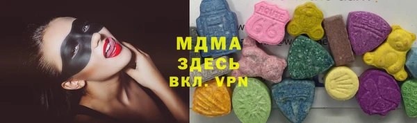 прущие грибы Заводоуковск