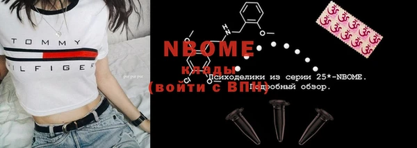 прущие грибы Заводоуковск