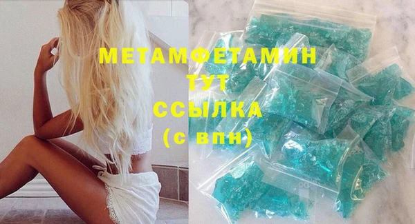 прущие грибы Заводоуковск