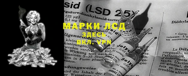прущие грибы Заводоуковск