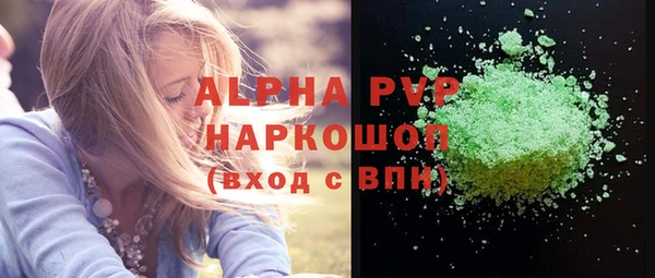 прущие грибы Заводоуковск