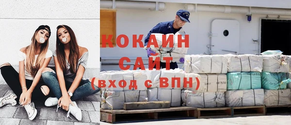 прущие грибы Заводоуковск