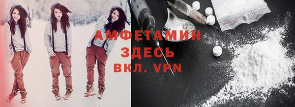 прущие грибы Заводоуковск