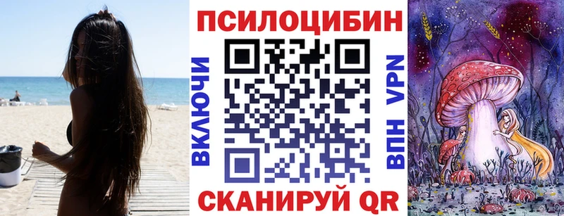 Псилоцибиновые грибы Psilocybine cubensis  mega ссылки  Салаир 